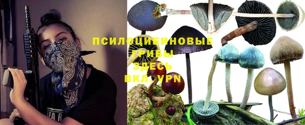 мдпв Абинск