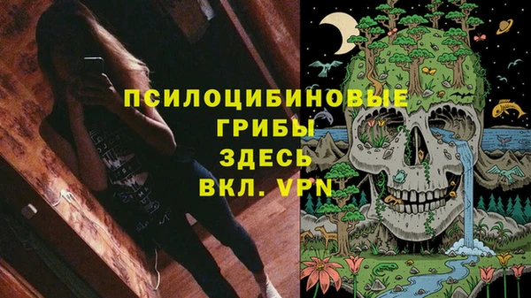 мдпв Абинск